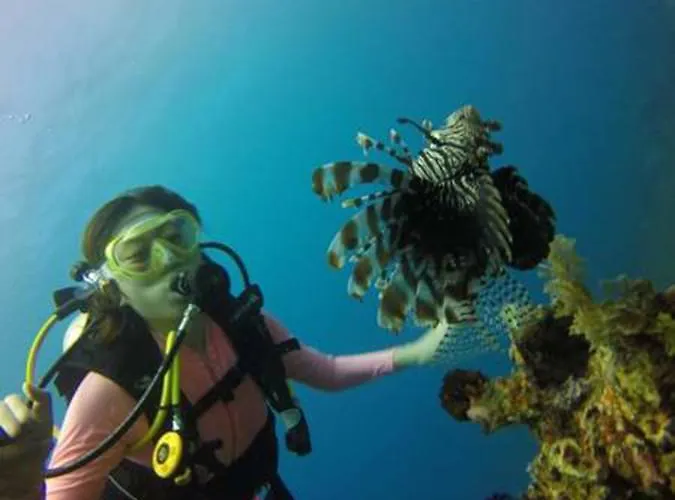 Pebble & Fins Bali Dive Resort Tulamben (Bali)