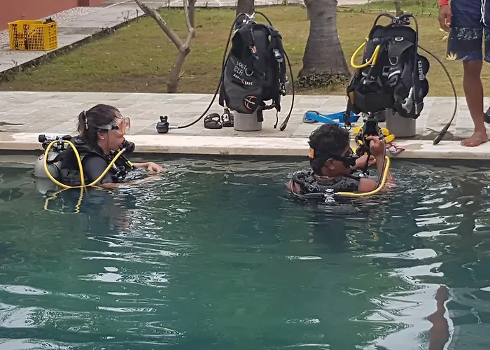 Pebble & Fins Bali Dive 3* Tulamben (Bali)